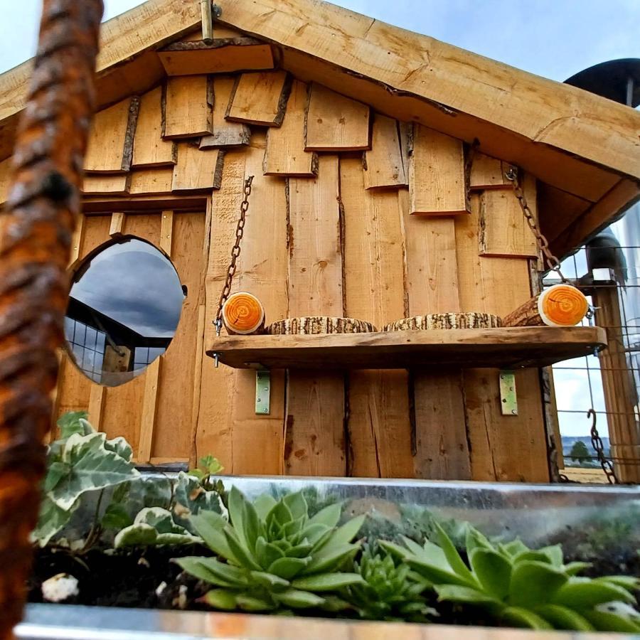 La Cabane Du Coing Visé Buitenkant foto