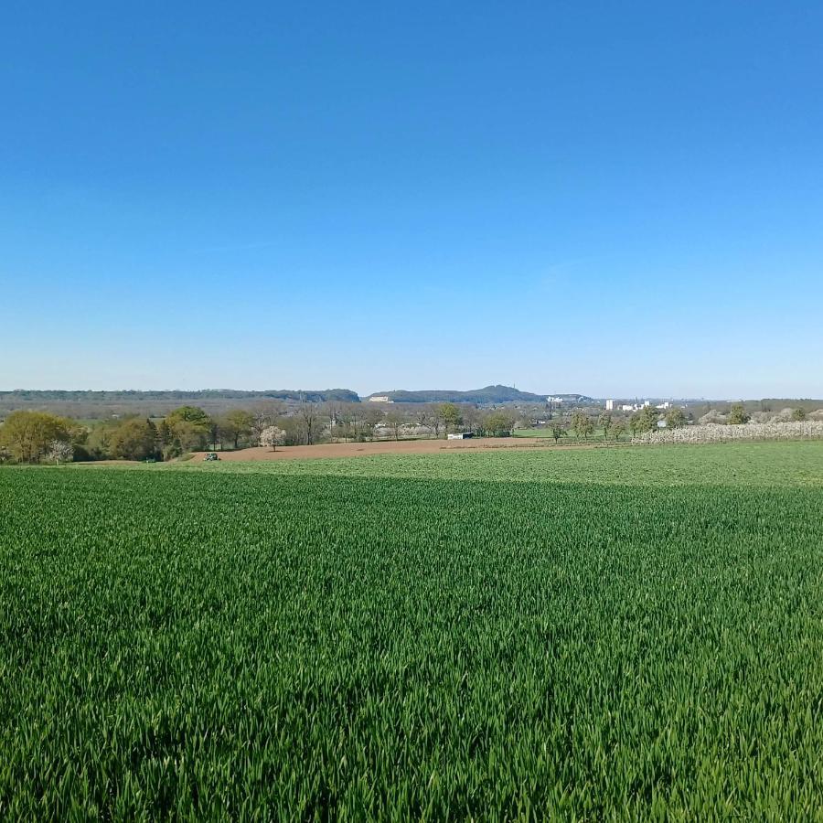 La Cabane Du Coing Visé Buitenkant foto